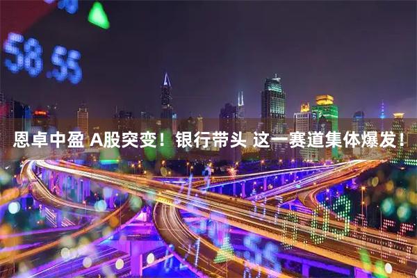恩卓中盈 A股突变！银行带头 这一赛道集体爆发！