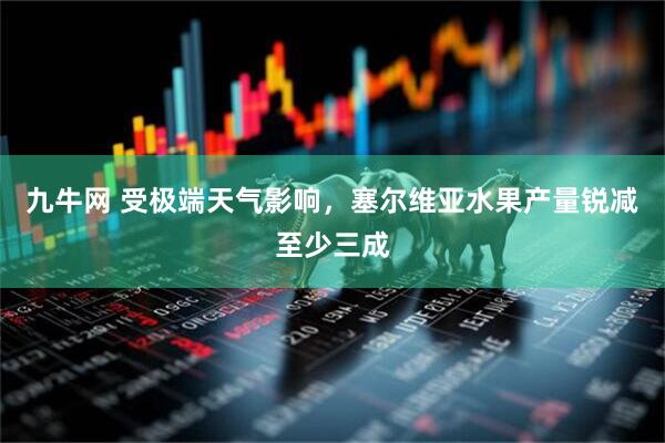 九牛网 受极端天气影响，塞尔维亚水果产量锐减至少三成
