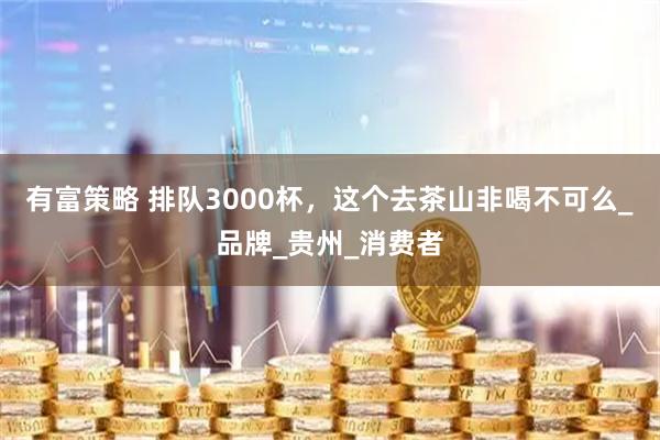 有富策略 排队3000杯，这个去茶山非喝不可么_品牌_贵州_消费者